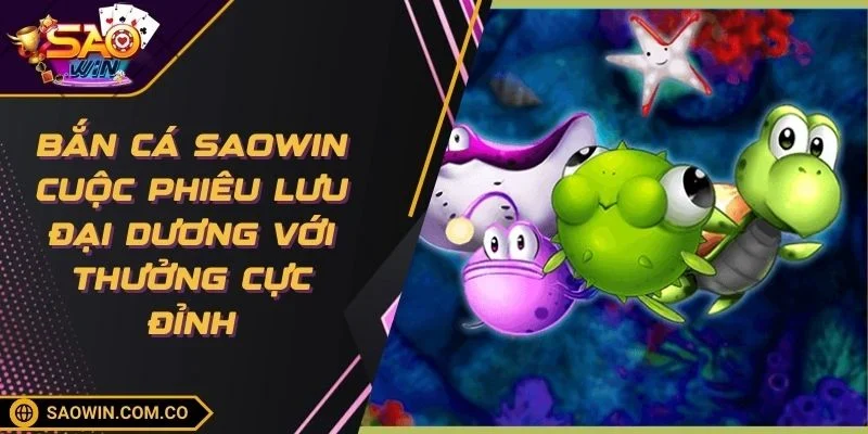 ban-ca-saowin